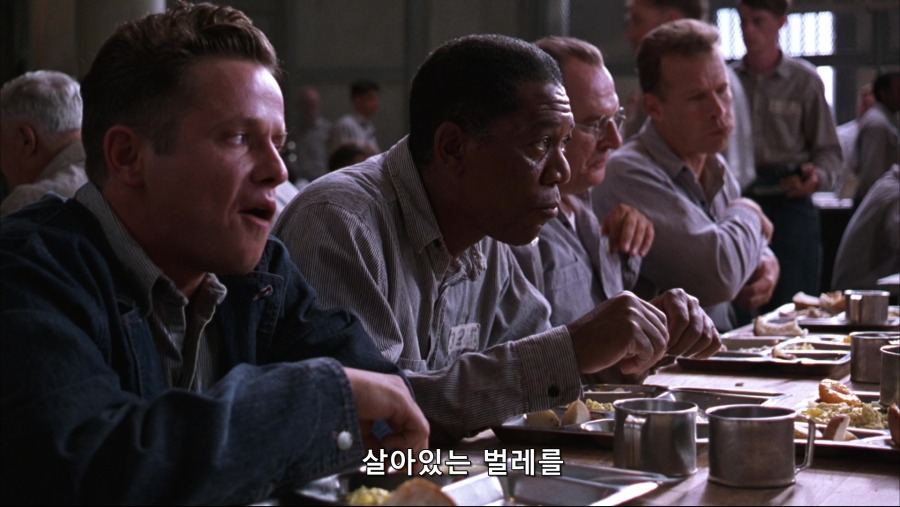 The.Shawshank.Redemption.1994.Bluray.1080p.TrueHD.x264-Grym.mkv_20191103_231331.121.jpg