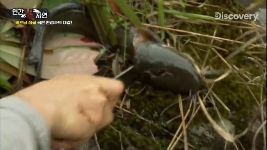 베어그릴스의 물고기 사냥.jpg_14.jpg