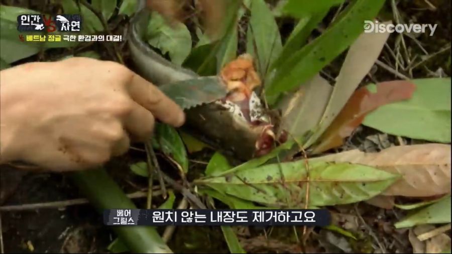 베어그릴스의 물고기 사냥.jpg_16.jpg