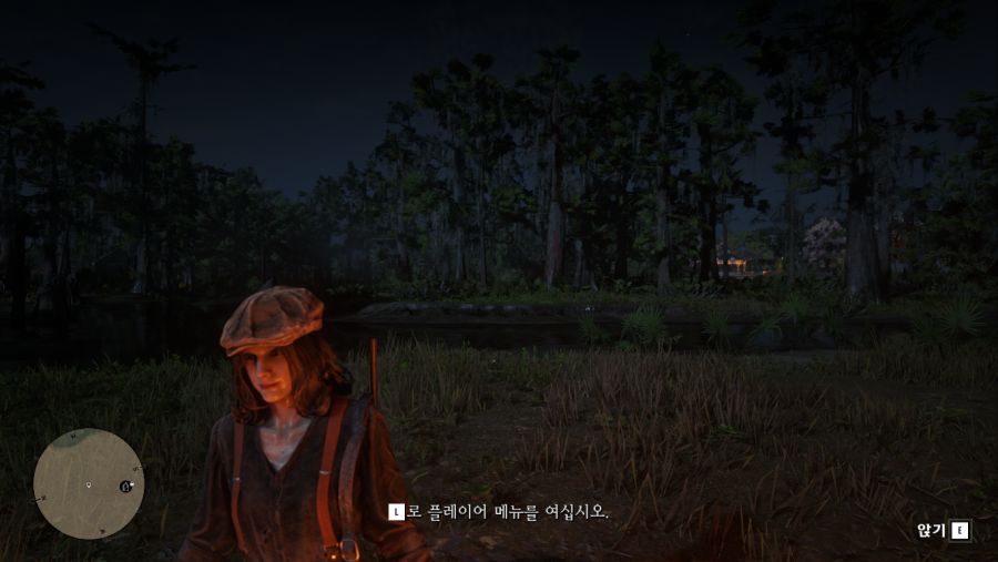 Red Dead Redemption 2 2019-11-08 오후 9_52_48.png