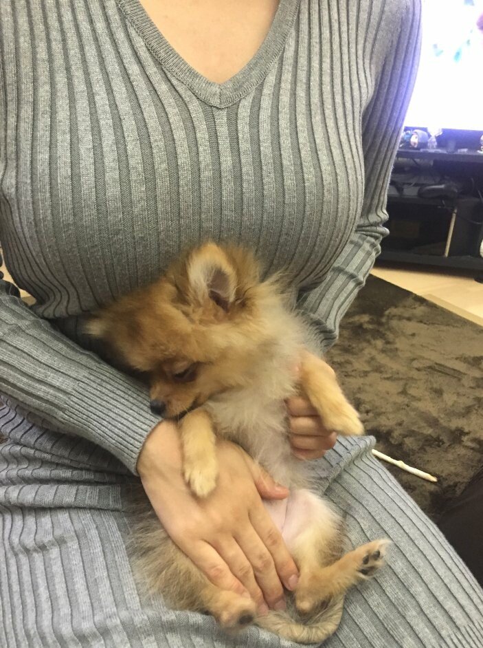 베스트 올라간 레즈 만화 작가.jpg_3.jpg