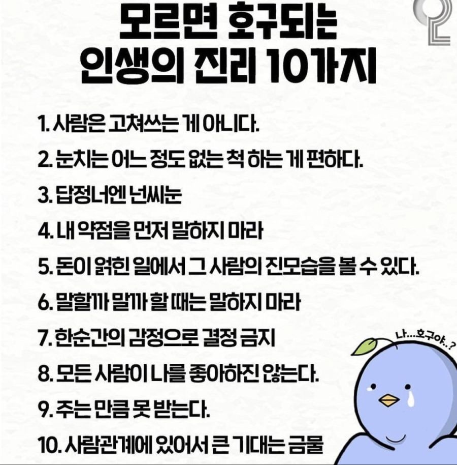 인생의 진리 10가지 유머 게시판 루리웹