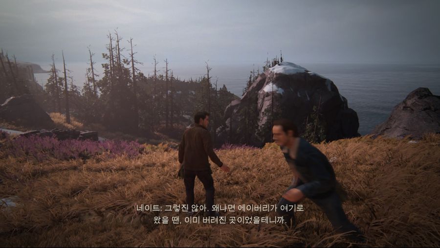 UNCHARTED 4_ 해적왕과 최후의 보물™_20191112170408.jpg