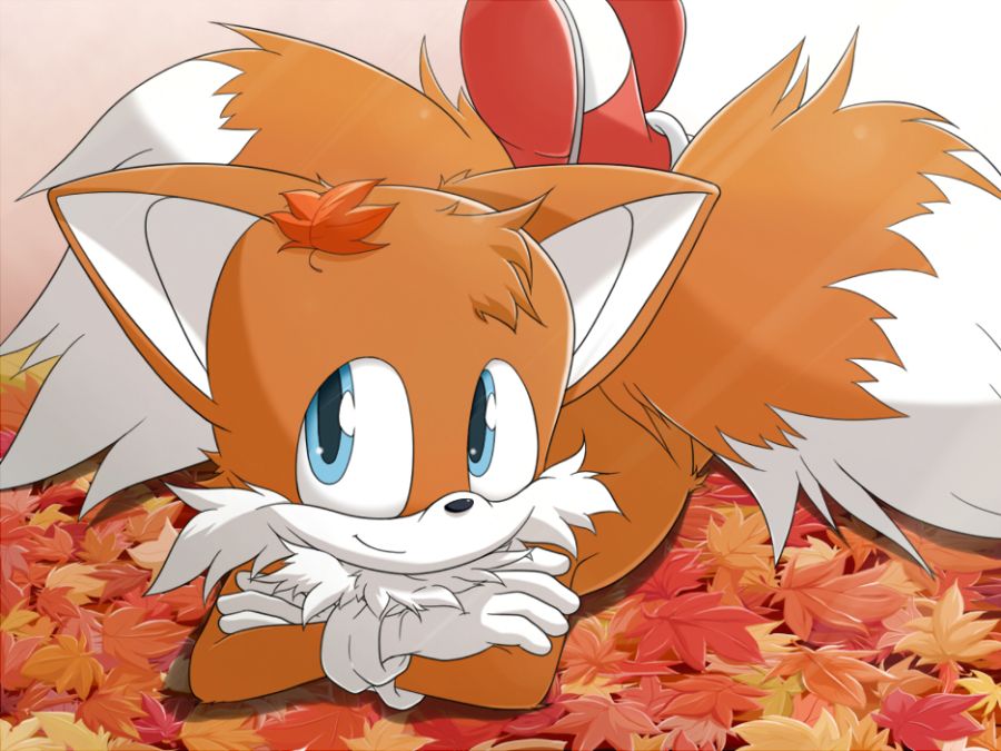 이번 소닉 실사영화가 잘 되면 후속작도 생각 해 볼거고_8.jpg