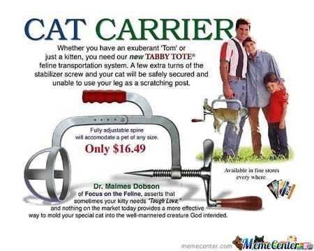 cat-carrier_o_2213305.jpg