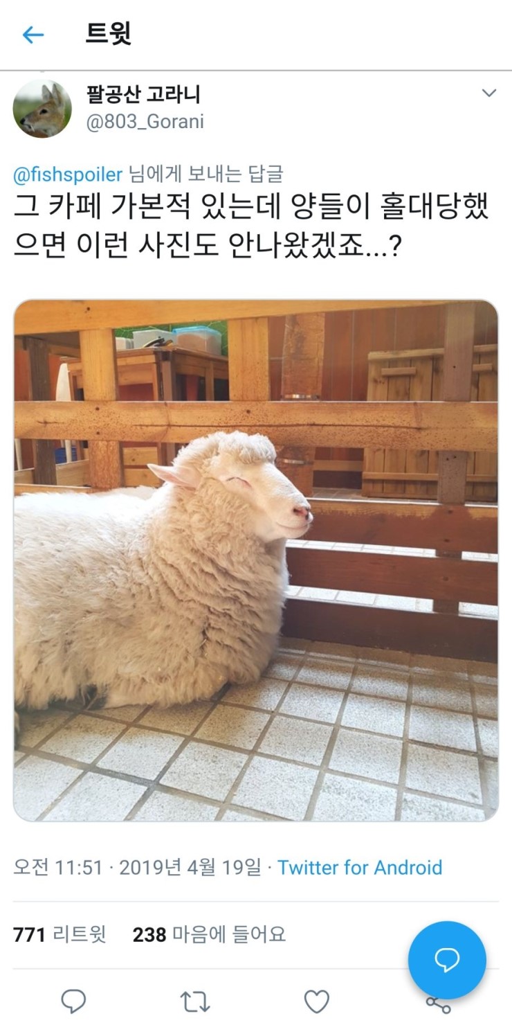 홍대에 있다는 양카페_3.jpg