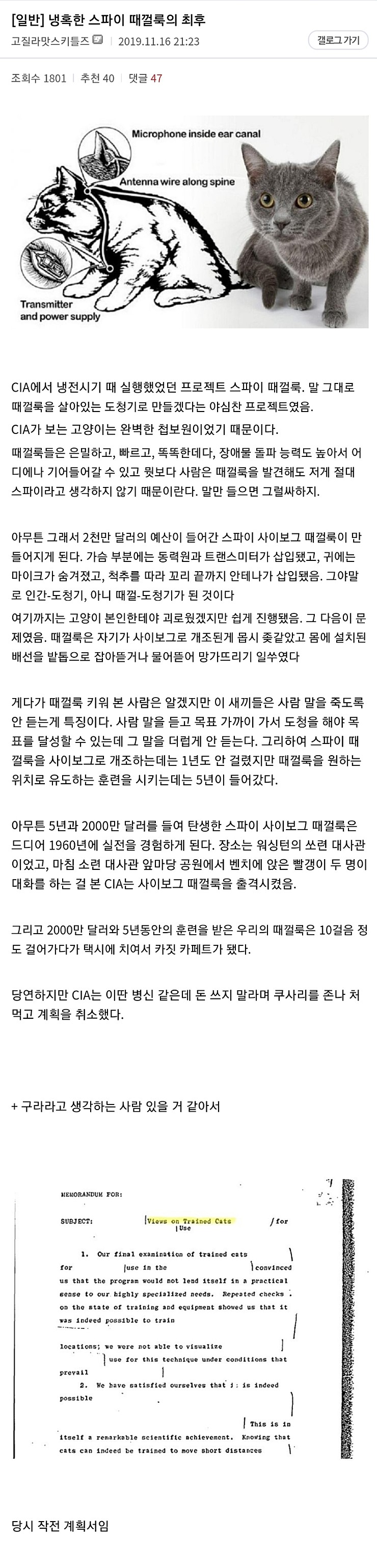 냉혹한 스파이 떼껄룩의 최후_1.jpg