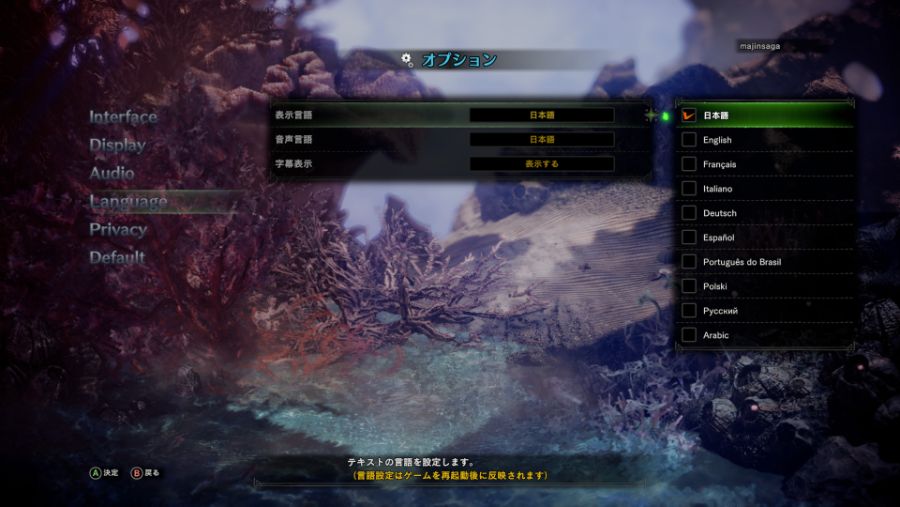 Monster Hunter World_ Iceborne 2019-11-21 18-43-58.jpg