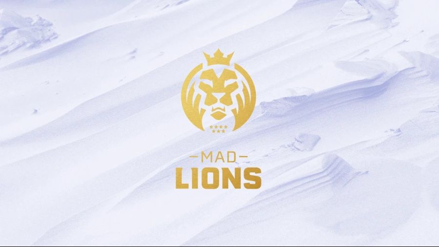 MAD-Lions-LEC.jpg