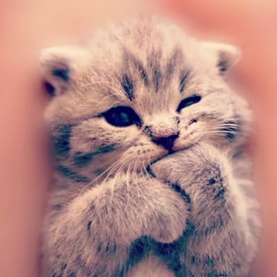 19+ Jpg Pictures Cute Pictures