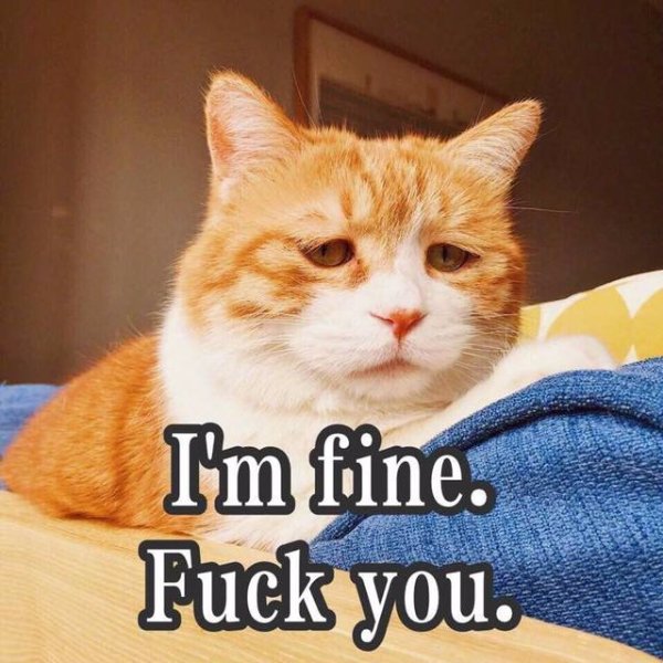 기분 ㅈ같을때 특징.jpg_1.jpg