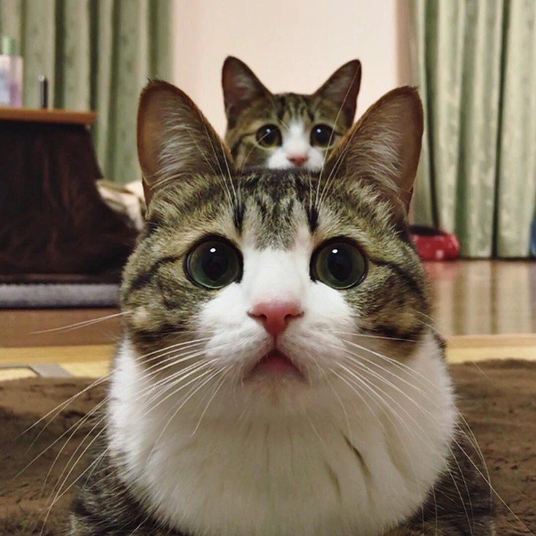 하나만 더 달리고 자러감 (새벽인데 후방을 주의할 필요가 있을지 모르지만 후방)_1.jpeg