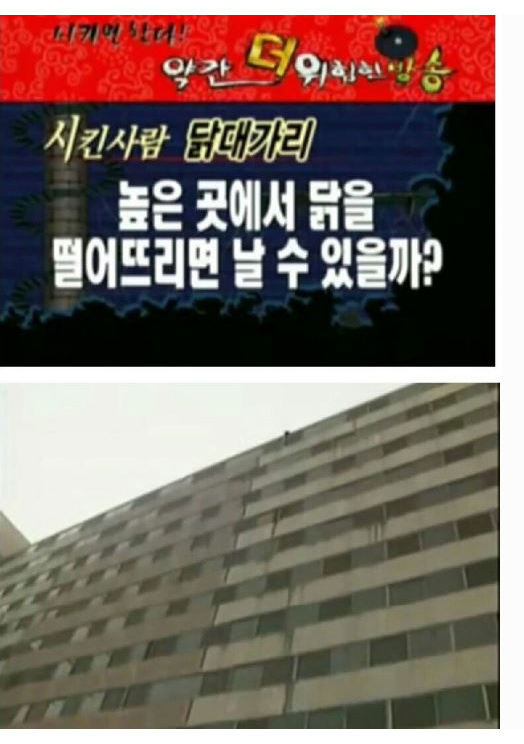 따봉충들의 조상급 예능_8.jpg