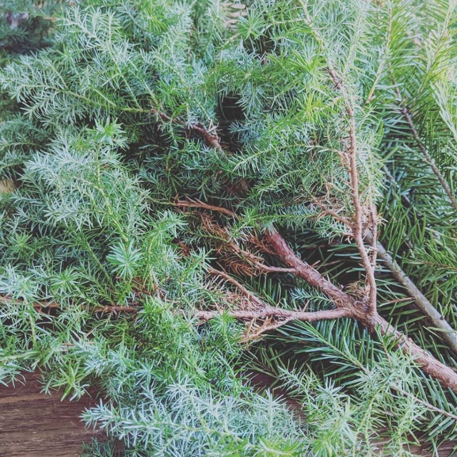 크리스마스 기념 리스, 콘트리 등(사진 많음)_7.jpg