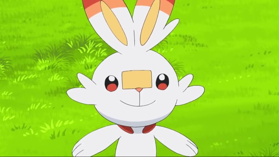 [포켓몬스터 2019] 귀요미 염버니_7.jpg