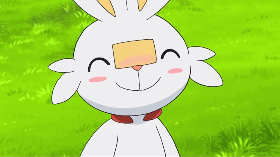 [포켓몬스터 2019] 귀요미 염버니_10.jpg