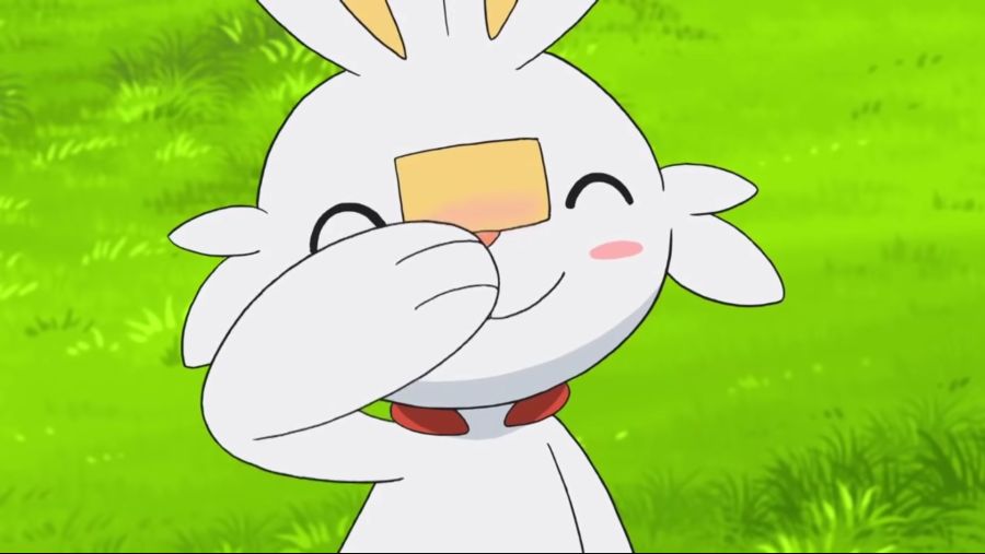 [포켓몬스터 2019] 귀요미 염버니_11.jpg