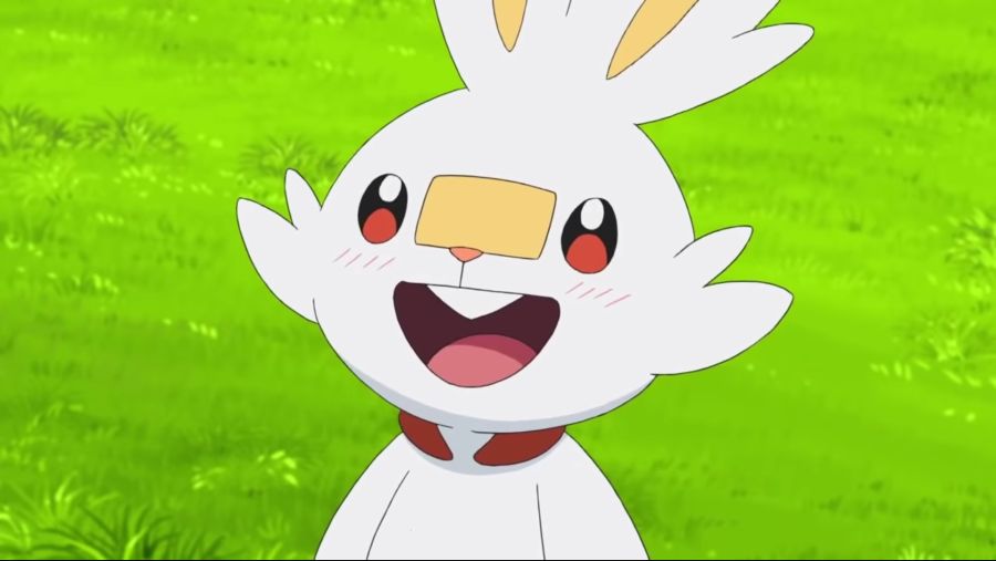 [포켓몬스터 2019] 귀요미 염버니_16.jpg