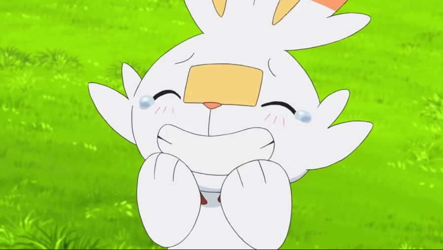 [포켓몬스터 2019] 귀요미 염버니_17.jpg