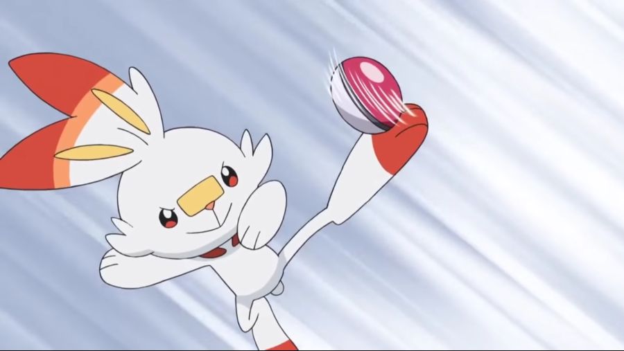 [포켓몬스터 2019] 귀요미 염버니_20.jpg