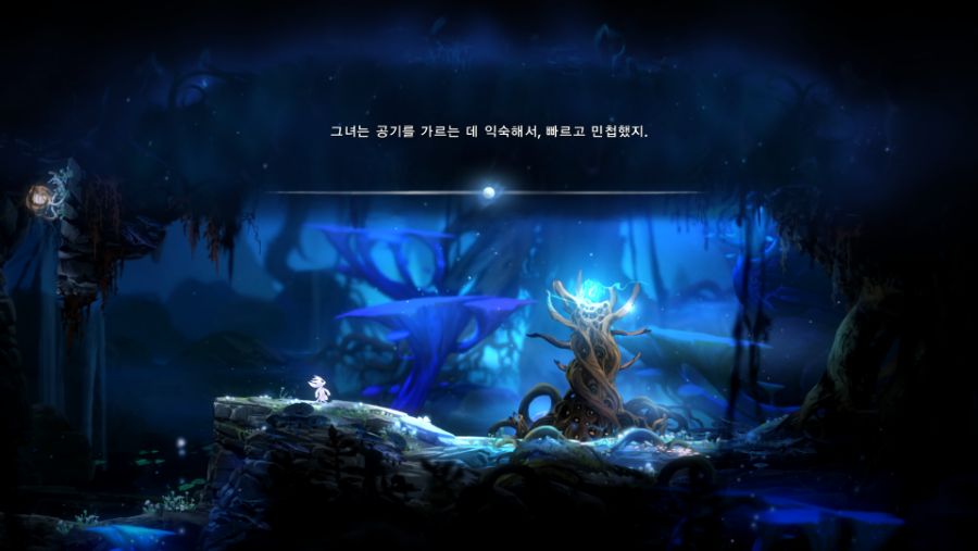 Ori And The Blind Forest_ Definitive Edition 2019-12-15 오후 3_13_51.png