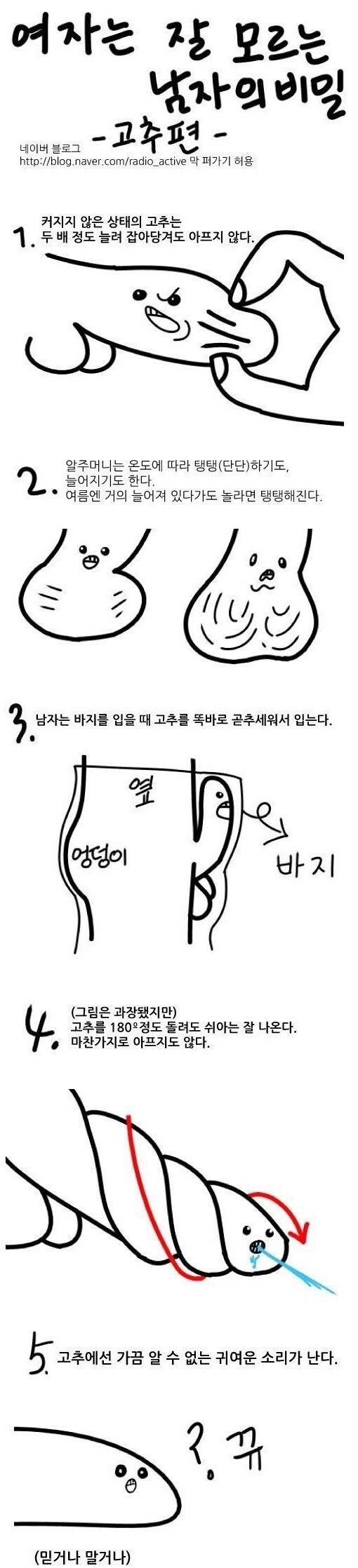여자는 모르는 남자의 비밀 -고추편-.jpg | (백업)유머 게시판(2018-2020) | RULIWEB