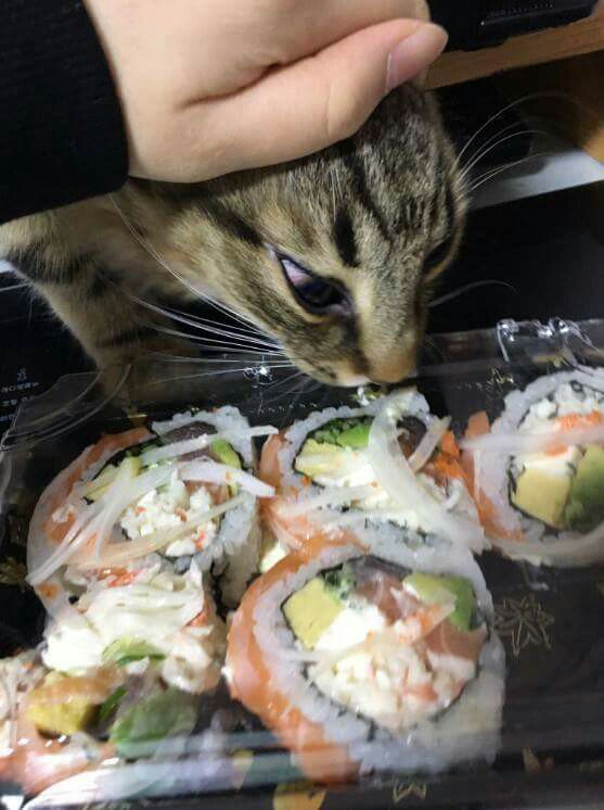 공포의 한입충.jpg_4.jpg