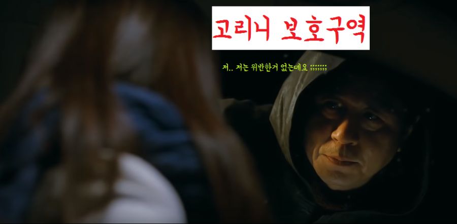 민식이법 고리니보호구역.png