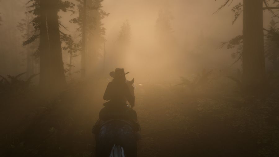 Red Dead Redemption 2 Screenshot 2020.01.22 - 17.39.20.21.png