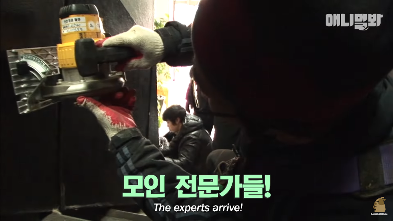 Screenshot_2020-01-24 벽 속에서 2년 만에 꺼낸 고양이 (치고는 통통한데 )ㅣ Cat Living Inside An Enclosed Wall With No Exit For 2 Years (19).png