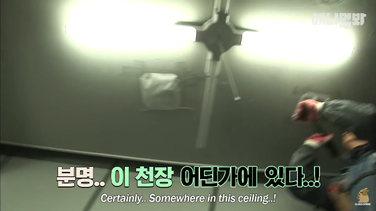 Screenshot_2020-01-24 벽 속에서 2년 만에 꺼낸 고양이 (치고는 통통한데 )ㅣ Cat Living Inside An Enclosed Wall With No Exit For 2 Years (25).png