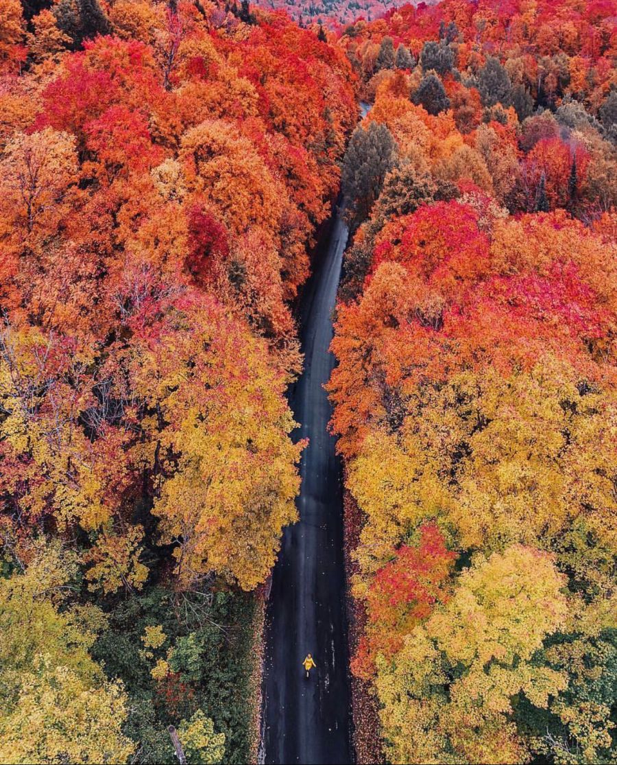 레딧 일뽕들 수준_2.jpg