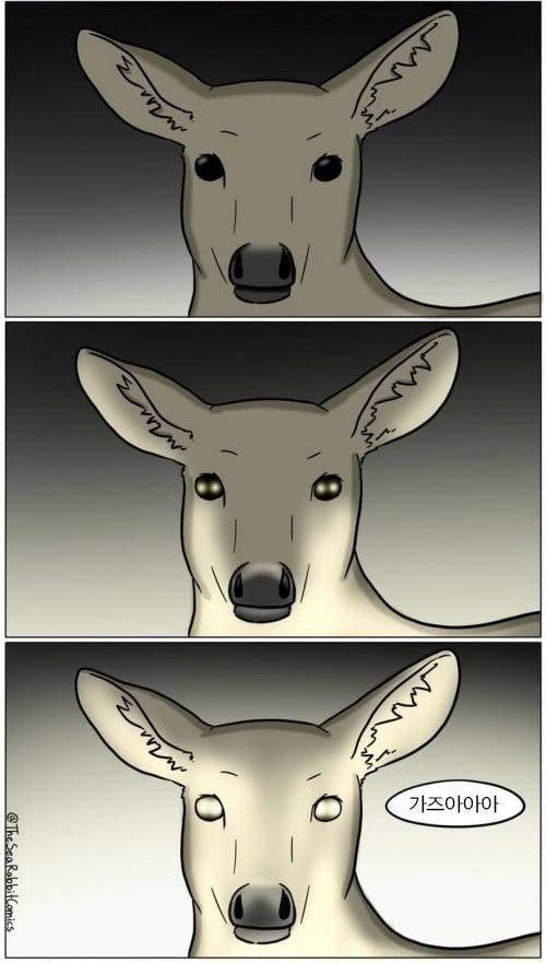 우리나라 고라니 특)_3.jpg