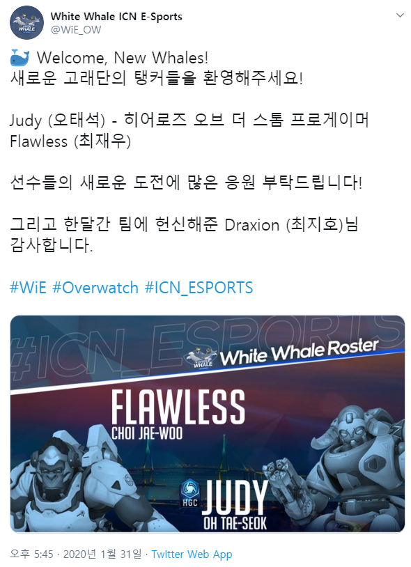 화이트웨일 이미지