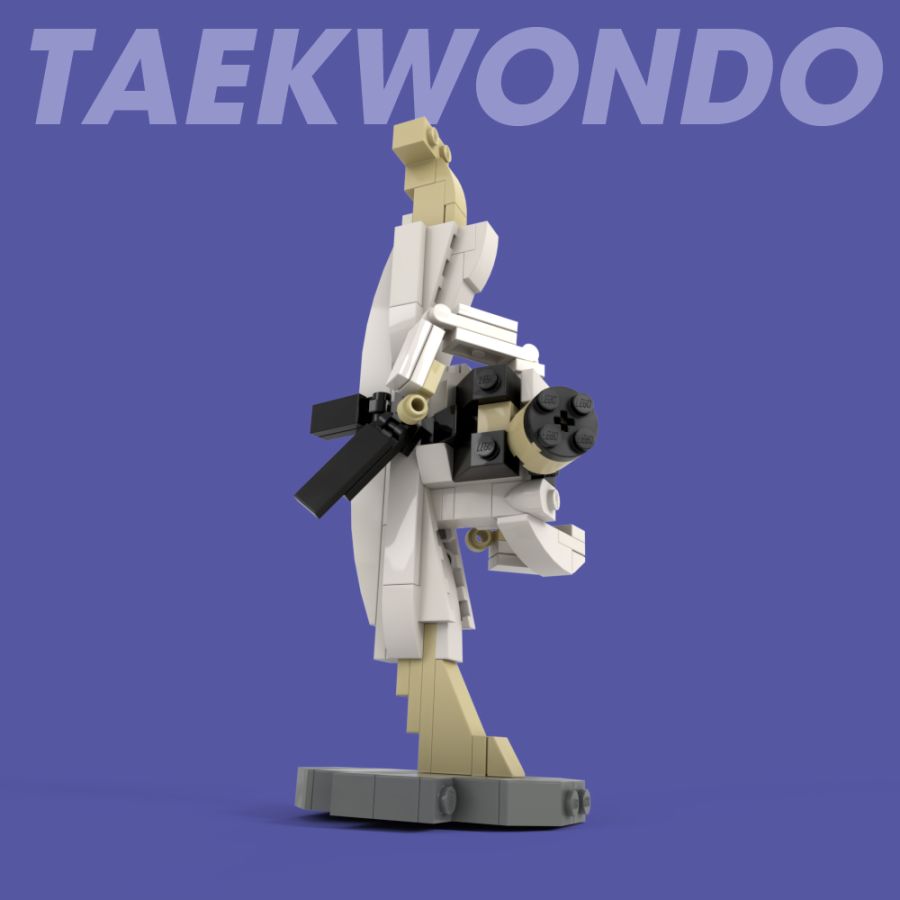 TAEKWONDO2.jpg