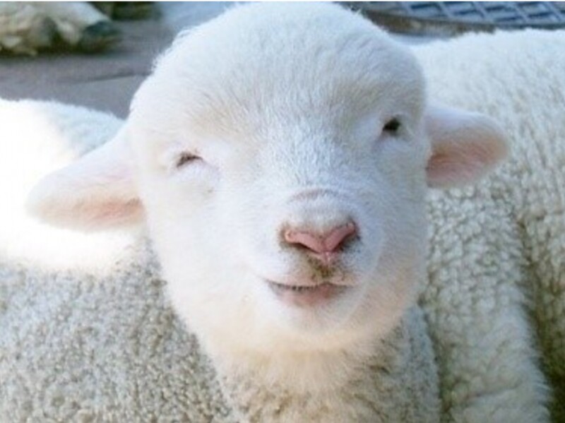 흐음..오늘은 어그로도 안오고 평화로울듯 하구만.._1.png