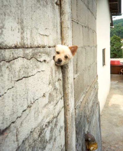 고대 디씨의 성유물들.jpg_4.jpg