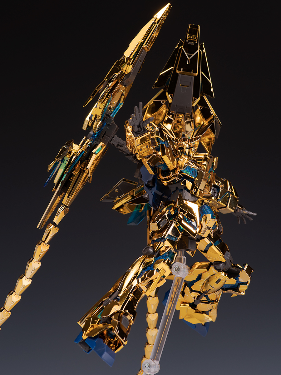 rg_phenex058.jpg