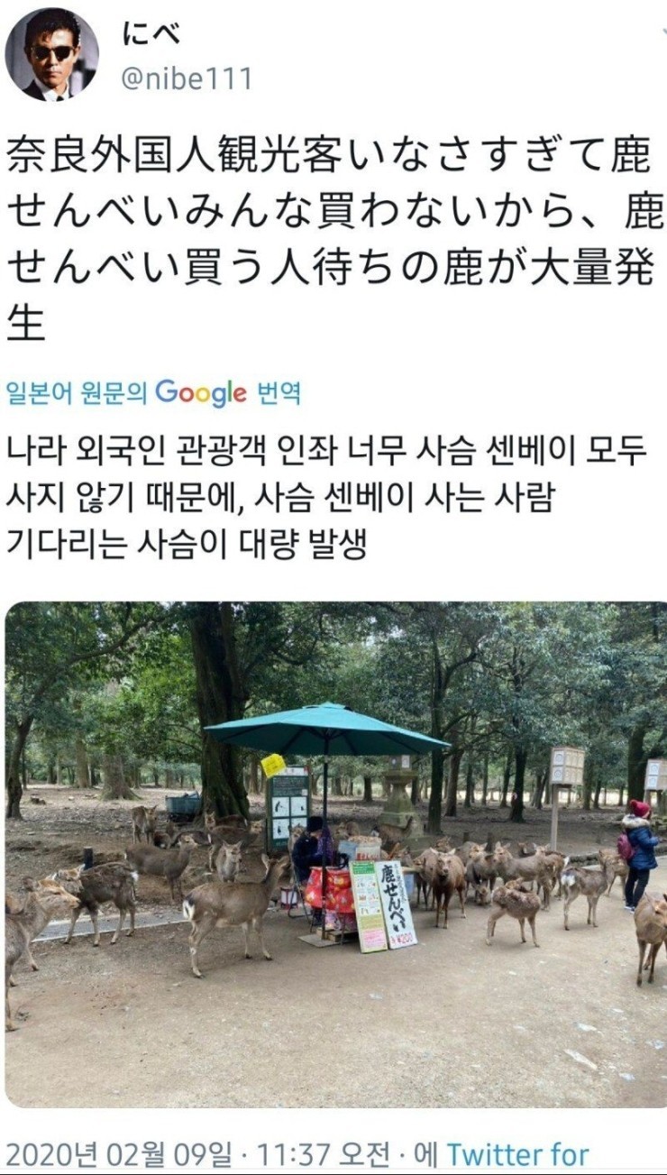 관광객이 줄어 곤란한 나라 사슴_1.jpg