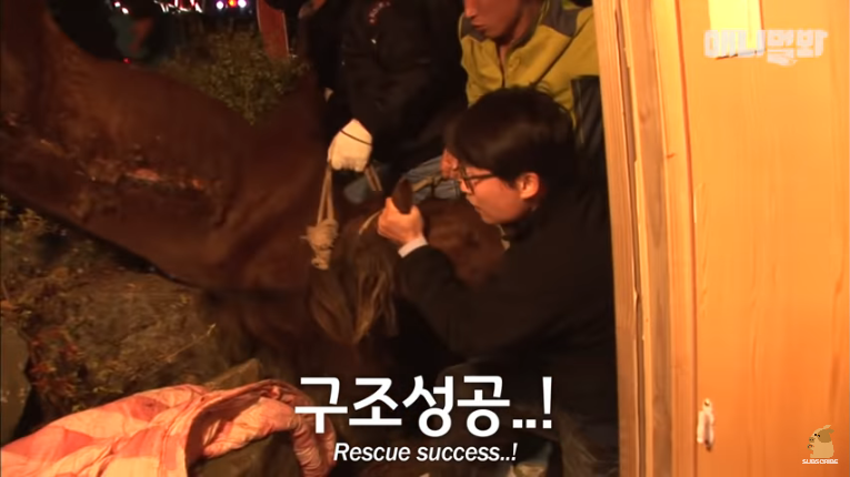 Screenshot_2020-02-17 말도 안되는 일이 일어났습니다 ㅣ What Happened To This Fainted Horse Slowly Dying (4).png
