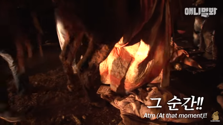 Screenshot_2020-02-17 말도 안되는 일이 일어났습니다 ㅣ What Happened To This Fainted Horse Slowly Dying (18).png