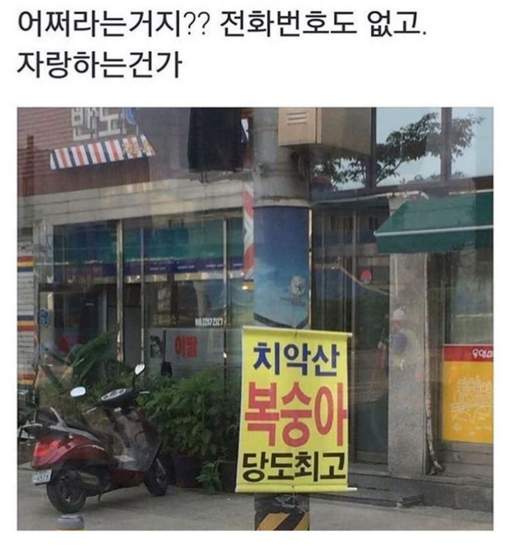 치악산☆☆☆복숭아%% 당$도$최$고.jpg