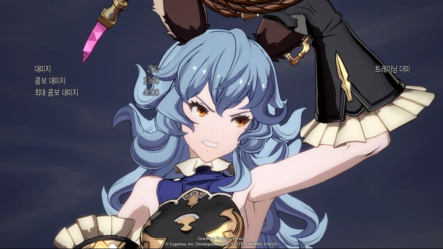 Granblue Fantasy_ Versus_20200220201022.jpg