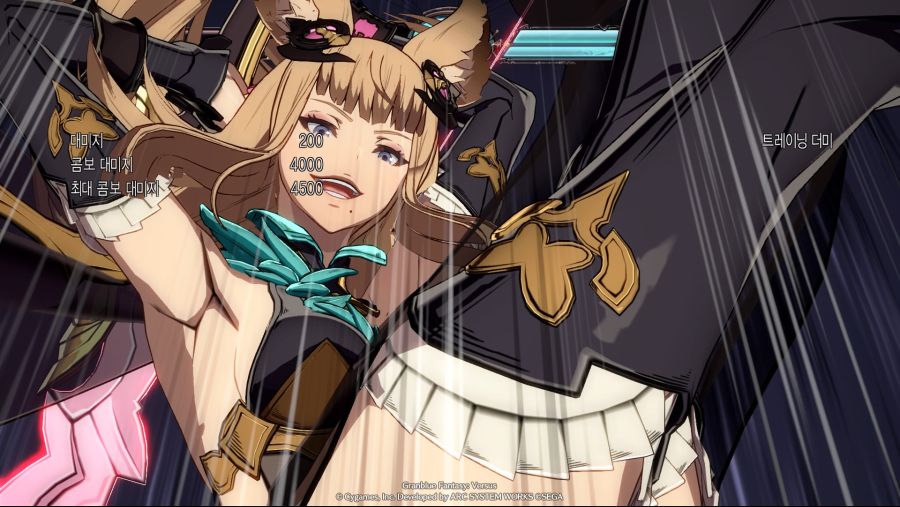 Granblue Fantasy_ Versus_20200220202405.jpg