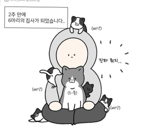 엄마 화장실이 궁금했던 아기고양이.manhwa_2.jpeg