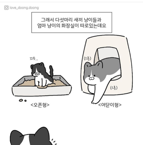 엄마 화장실이 궁금했던 아기고양이.manhwa_3.jpeg