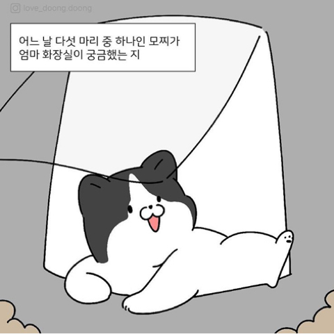 엄마 화장실이 궁금했던 아기고양이.manhwa_4.jpeg
