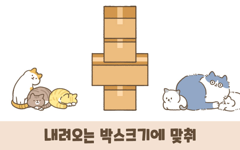 고양이박스-어서와 고양아! 출시했습니다!_3.jpg