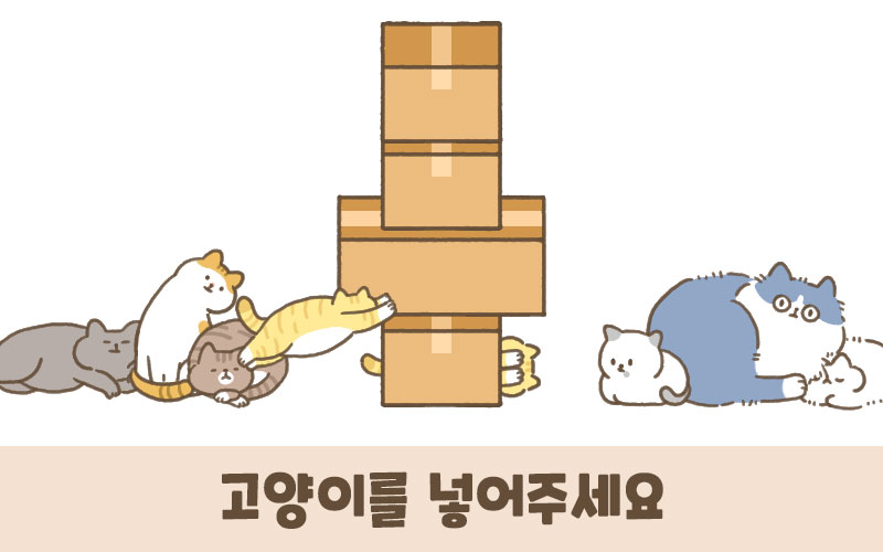 고양이박스-어서와 고양아! 출시했습니다!_4.jpg