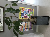 선배님들 고무나무 상태좀 봐주세요_1.jpg